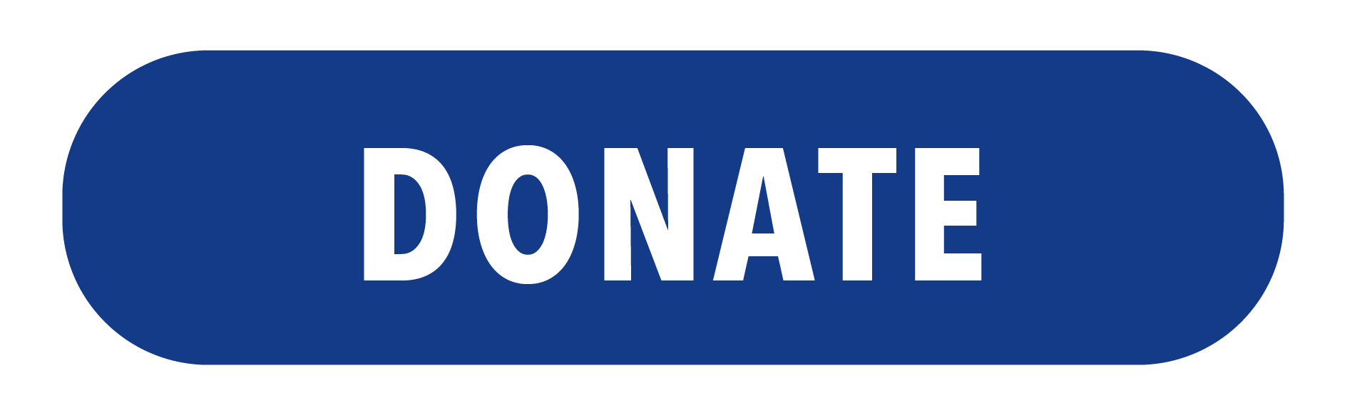 PayPal Donation Button